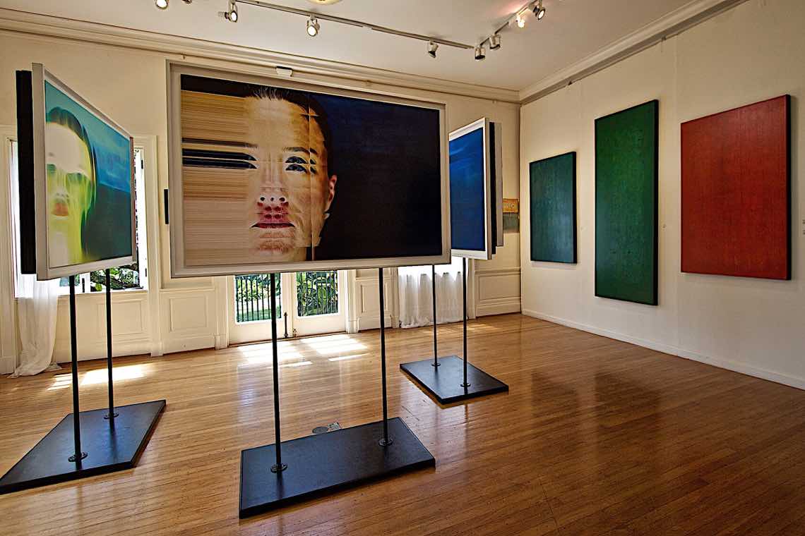 View of Shane Robinson's Solo Exhibition at the Hui Noʻeau, Maui, 2014